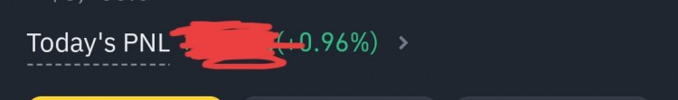 PNL 從-25% 回到綠色，這就是你管理資金的方式