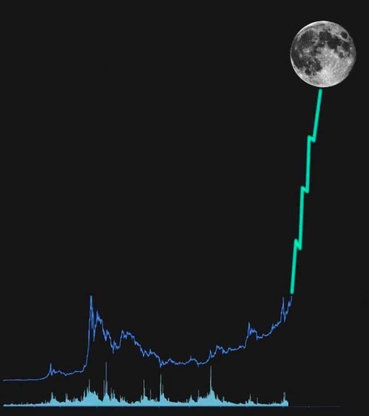2024年頂級山寨幣探索:Cardano、Polkadot、Chainlink