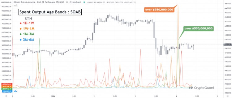 BTC 波動性 ETF 影響：儘管市場波動，持有者仍未動搖