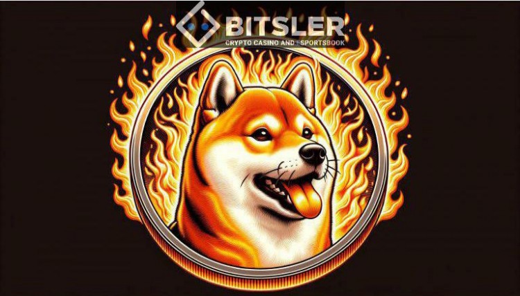 Shiba Inu：如果 90% 的 SHIB 代幣被燒毀，會(huì)發(fā)生什麼事？