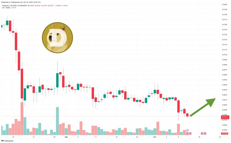 DOGE躋身十大加密貨幣之際——2023年DOGE價格有望達到1美元嗎