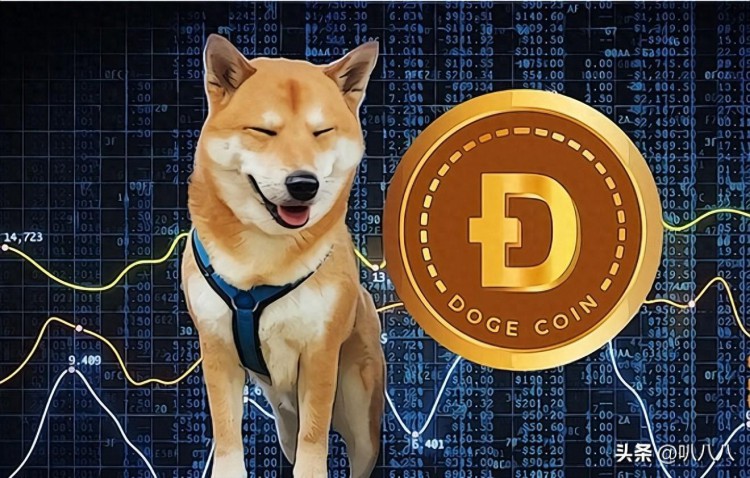 投資狗狗幣（DOGE）還是瑞波幣（XRP）更合理？