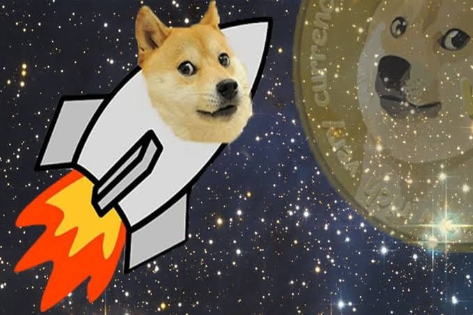 擁有100倍的Memecoin：Shiba Inu和Firoki Inu