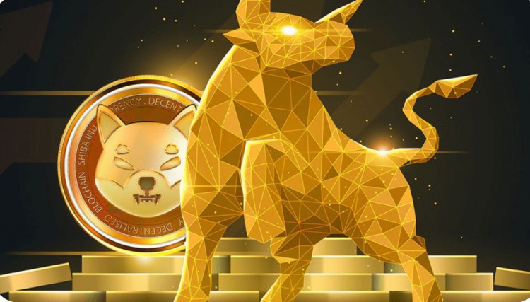 柴犬多頭的關鍵戰2024