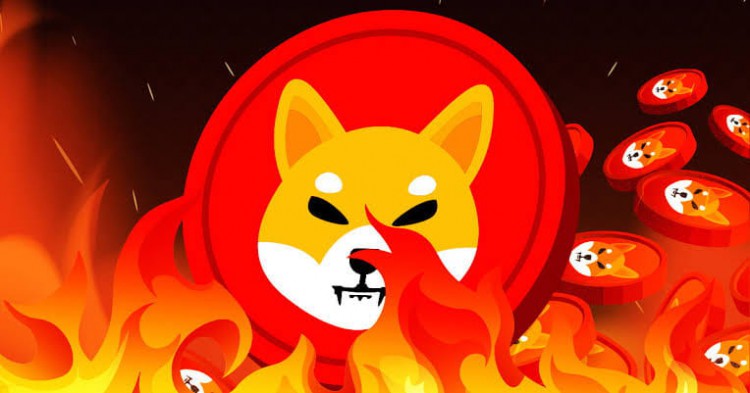 Shiba Inu (SHIB) 銷毀率飆升超過 2,000% 它們供不應求最近的戰略凸顯了代幣的實