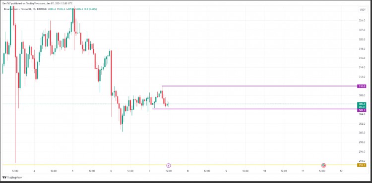 幣安幣（BNB）價格分析