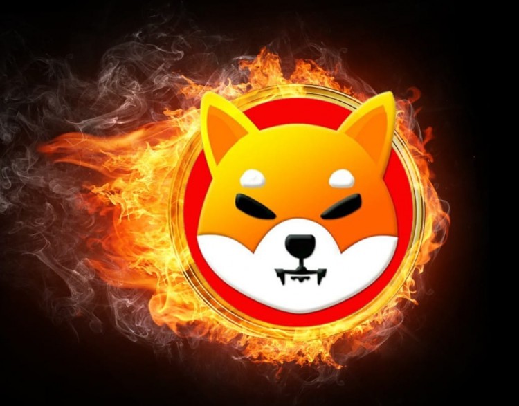 SHIBAINU自動銷毀計劃實施1月起開始旨在提升代幣價值盈利投資者