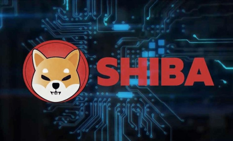 新資本湧入SHIBAINU的生態(tài)係統(tǒng)爆發(fā)