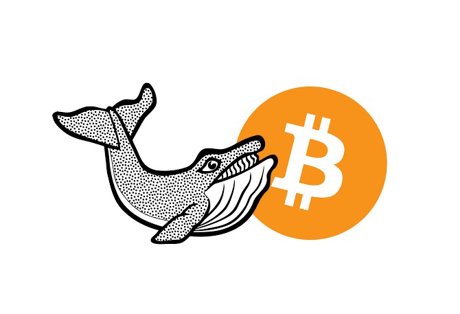 鯨魚警報：Gemini轉移437 BTC 20,288,177美元未知錢包 瞭解市場趨勢和情緒評估此