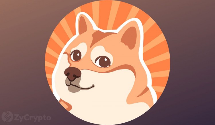 Shiba Inu 首席開發人員公佈了 2024 年瘋狂看漲的願景 — 0.001 美元的 SHIB