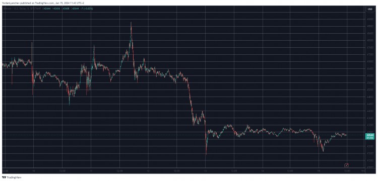 比特幣跌破 4.3 萬美元，Toncoin 每日飆升 10%（市場觀察）