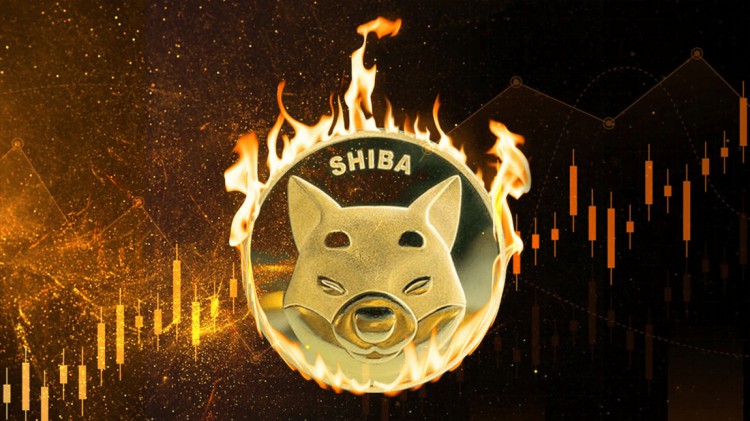 Shiba Inu (SHIB)燃燒量激增1638%！ Shiba Inu團隊持續努力燃燒SHIB代
