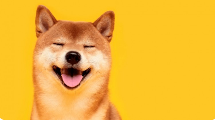 Shiba Inu 負(fù)責(zé)人提出新形式的數(shù)位身分，簡(jiǎn)化 Web3 之旅，推動(dòng)通用加密用戶(hù)名。