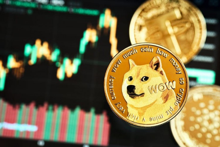 狗狗幣99億DOGE鯨魚轉移震驚全球市場看漲
