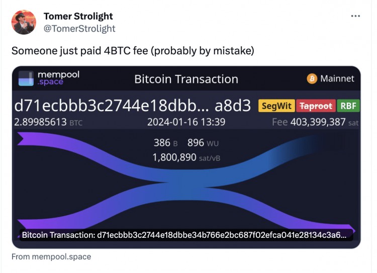 有人隻轉帳 2.9 BTC，就損失了 174,000 美元的交易費用