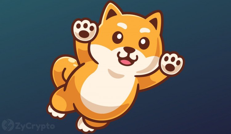 Shiba Inu 成為印度 WazirX 加密貨幣交易所交易量最大的代幣