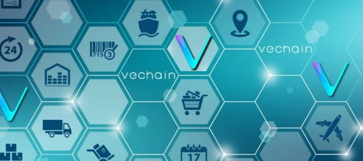 下次牛市的前3層代幣及其原因 您準備好迎接即將到來的加密貨幣浪潮了嗎
