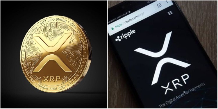 XRP 5美元預(yù)測：Egrag Crypto項目詳情