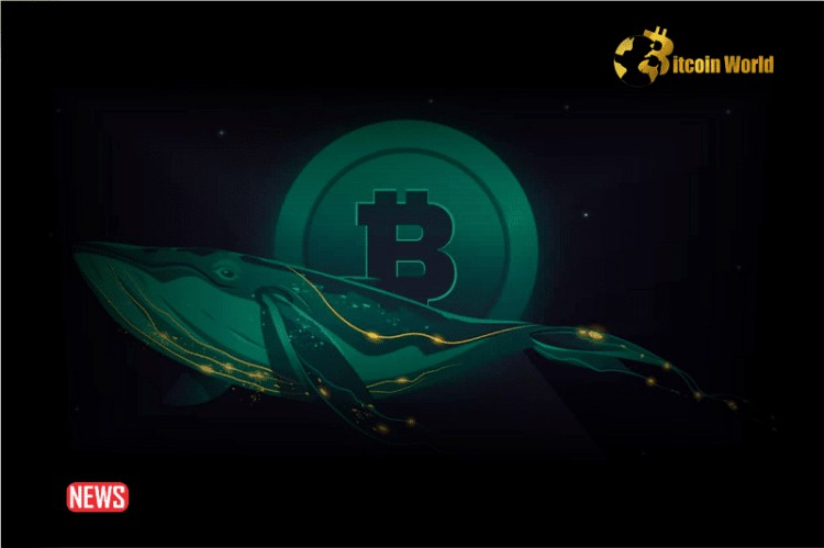 比特幣鯨魚拋售30億美元BTC，價格是否會再暴跌？