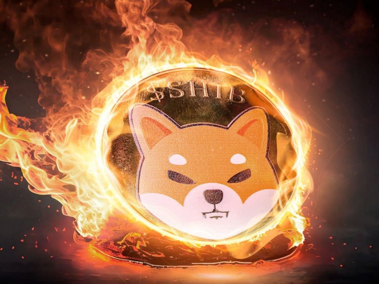 Shiba Inu：擁抱 Web3 的未來