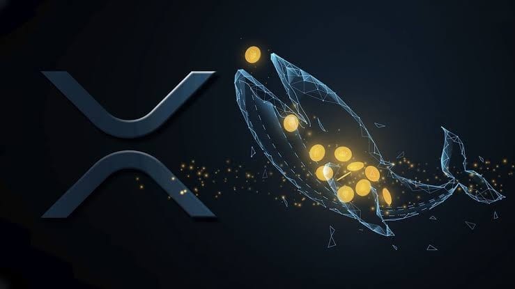 新發(fā)現(xiàn)XRP鯨魚(yú)錢(qián)包在數(shù)小時(shí)內(nèi)突破883億XRP累積投資者猜測(cè)不斷