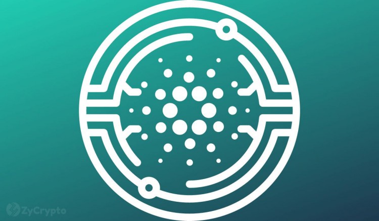 分析師表示，隨著 Cardano 生態係統的蓬勃發展，ADA 即將採取 14 倍的舉措