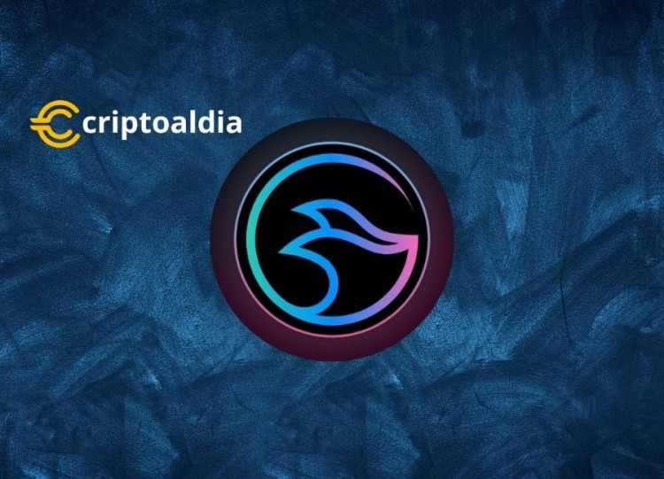 Manta Network 的上升與下降