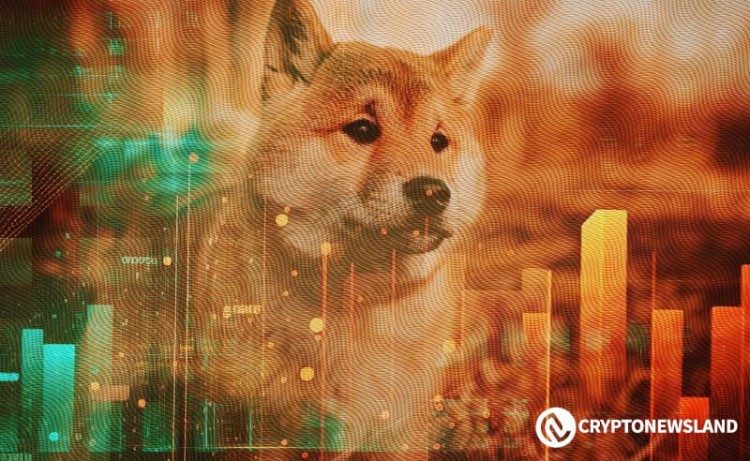 柴犬在令人興奮的發(fā)展中為牛市二月奠定了基礎(chǔ)