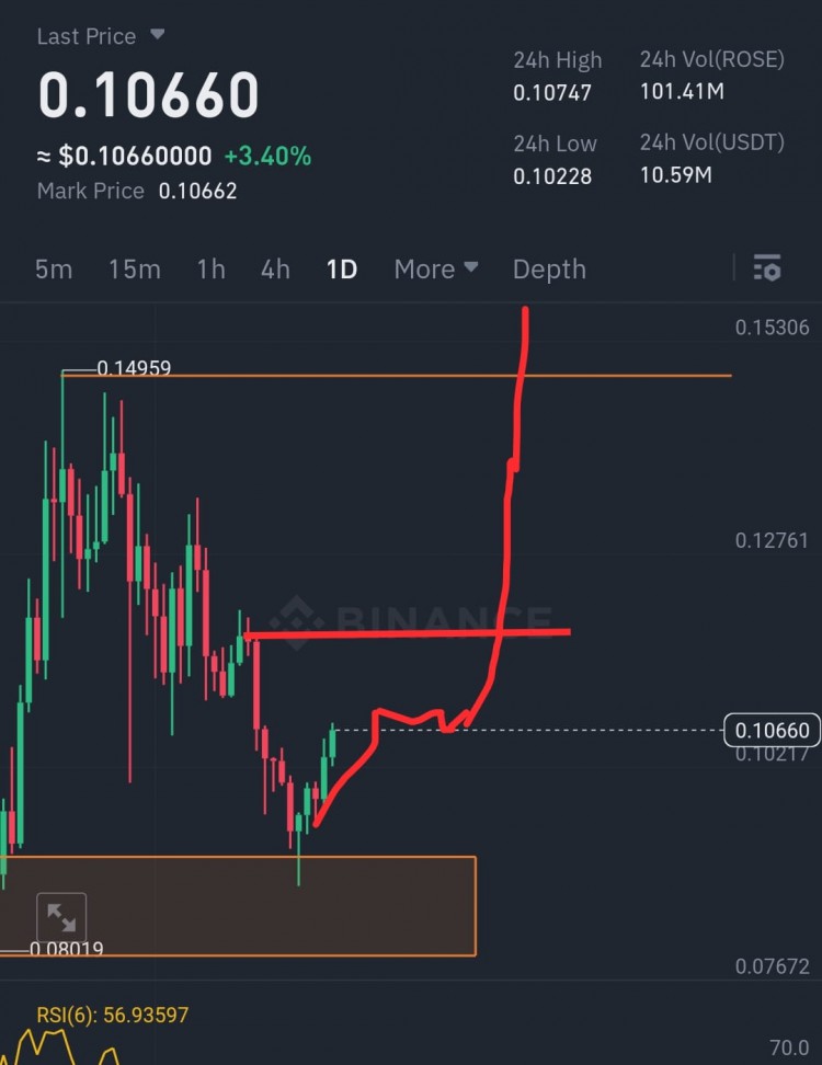 長期投資Oasis Network (Rose) 幣種，穩賺不賠