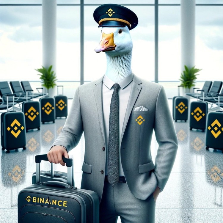 2023 年 Binance 上架的 Meme 幣$Floki $Pepe 和 $Bonk 的概況