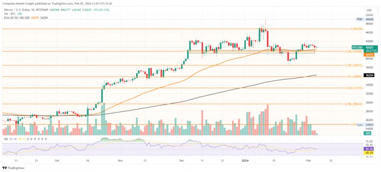 BTC 目標(biāo)價(jià)為 5 萬美元，減半前反彈將於下週開始！