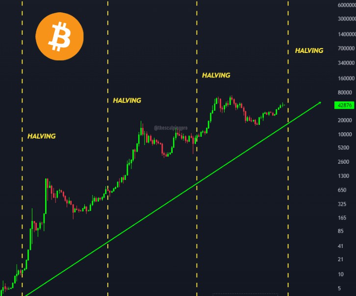 比特幣現(xiàn)實(shí)檢驗(yàn)加密貨幣愛(ài)好者準(zhǔn)備好挑戰(zhàn)了吧