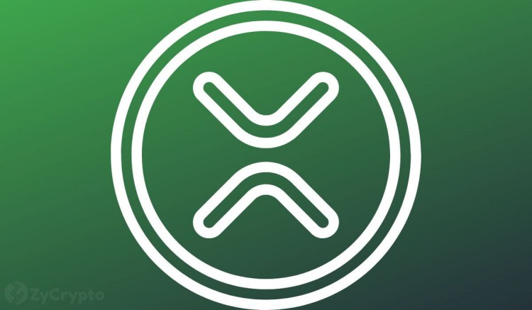 4 美元 XRP 創下歷史新高？— XRP 軍隊要求 Ripple 針對價格表現不佳採取行動