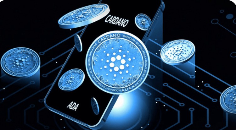 卡爾達(dá)諾社群熱度風(fēng)光 potential