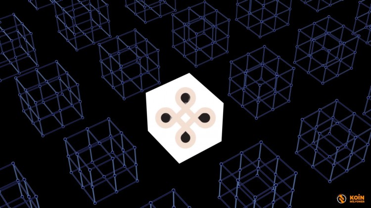 DYM價格分析：Dymension空投現(xiàn)在買還來得及嗎？