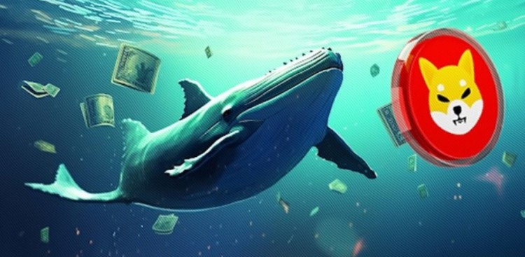 Shiba Inu (SHIB) Whale Trading Surge