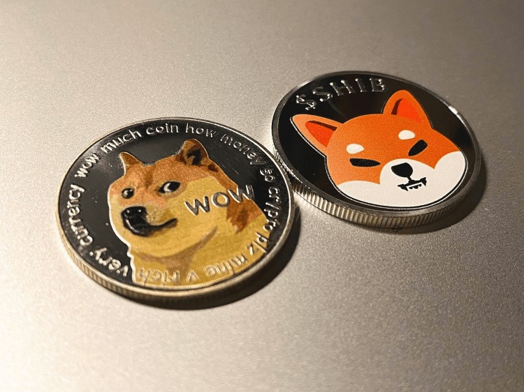 柴犬硬幣會達到50美分嗎全部真相