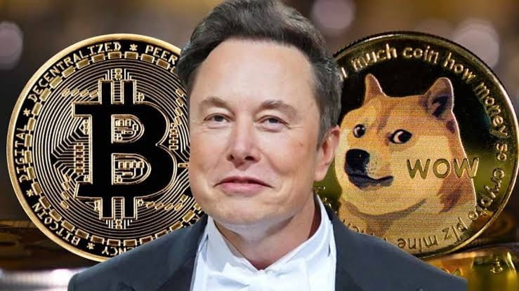 迷因幣為何不上漲技術(shù)分析揭示答案