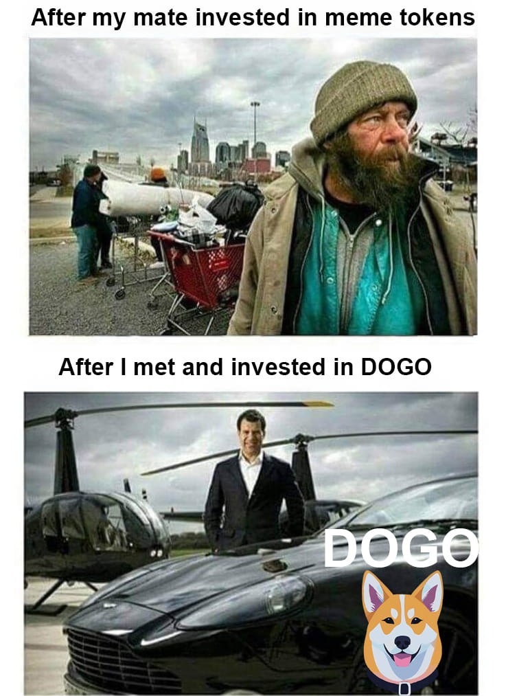 DOGODOGO投資50100X目標耐心DYOR時間到正確投資DOGO成為新DOGE