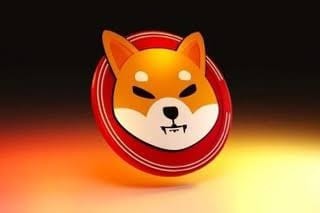 Shiba Inu SHIB預計800%飆升期待 - Lucie暗示史詩般反彈，市場情緒和潛力廣泛加