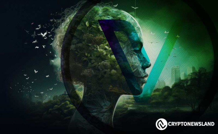 VeBetter DAO 揭露後，長期 VET 持有者表示擔憂