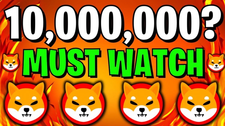 持有10000000SHIB的重要市場(chǎng)分析和未來(lái)價(jià)格預(yù)測(cè)