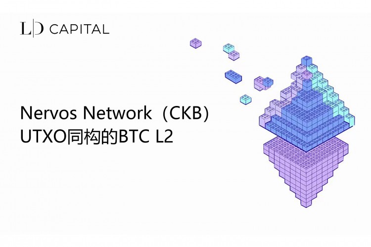 LDCAPITALNERVOSNETWORKCKBUTXO同構(gòu)的BTCL2