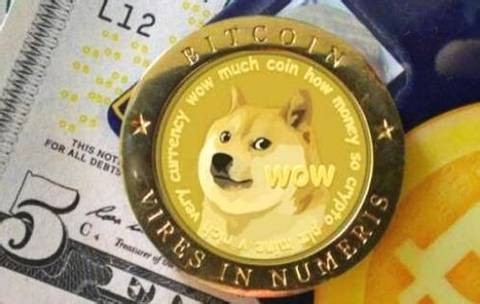 狗狗幣6個月漲了近250倍你覺得狗狗幣是騙局嗎