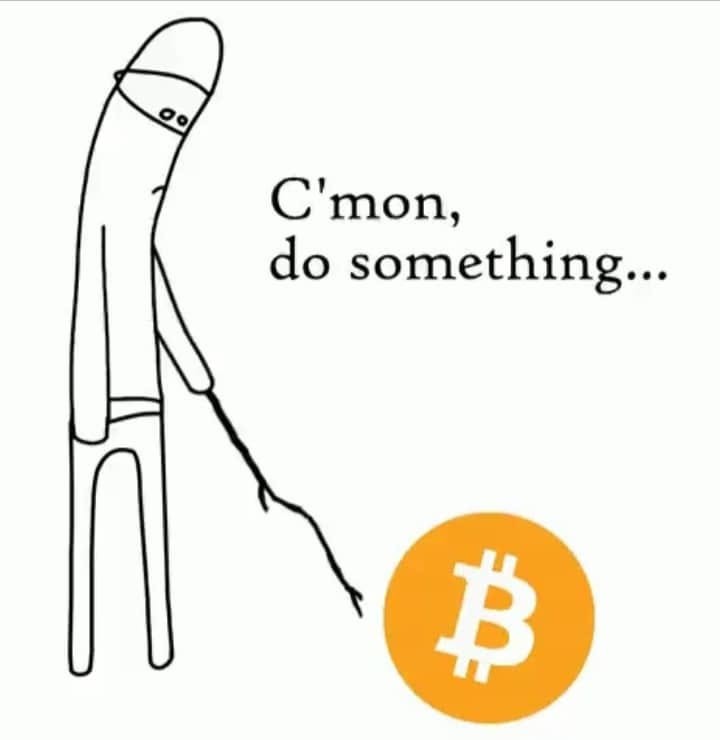 減半完成接下來做什麼