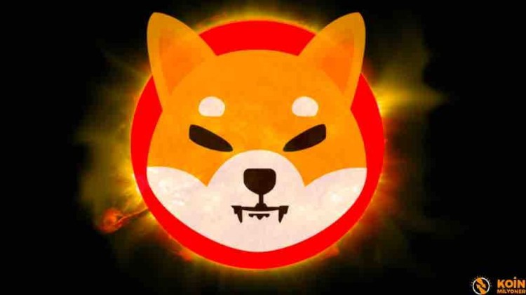 SHIB市場波動回撤時候加倉了嗎SHIBAINU上週表現及未來走勢展望