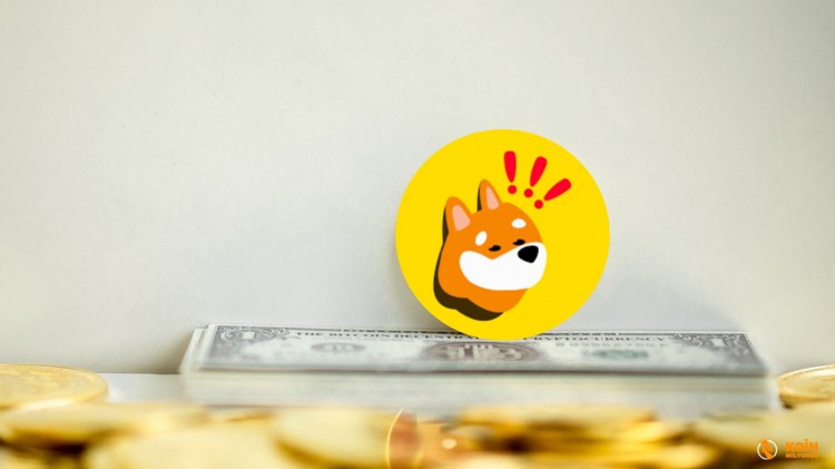 最新MEME幣預售即將結束導致幣值下跌10銀行價格隨著市場領導者比特幣BTC和以太坊ETH的市值下跌SOLANA第二大MEME貨幣BONKBONK的價值也下跌