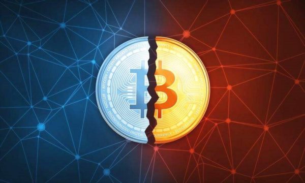 Blockchain Development: Choosing the Right Directi